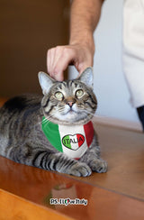 Italia Heart Pet Bandana