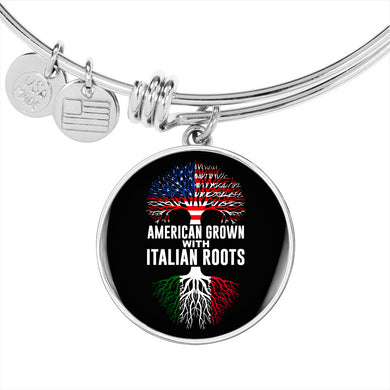 American Grown with Italian Roots Circle Charm Bangle in Gold & Stainless Steel